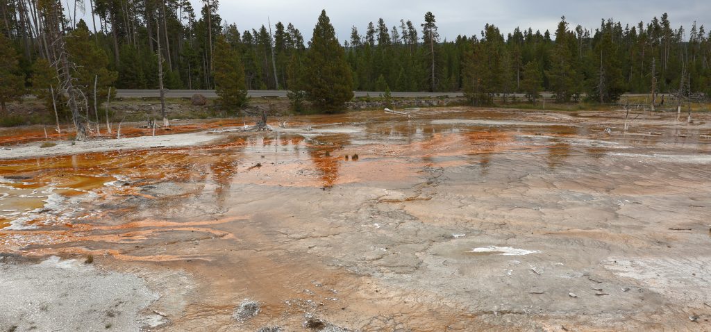 Geyser Basin -- large orange algae pool. A nice glassy surface reflecting the forest behind.