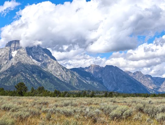 Grand Tetons National Park (+ Yellowstone) - 2023