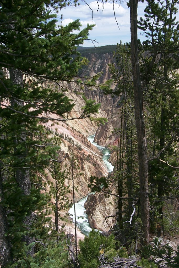 The Grand Canyon of the Yellowstone.