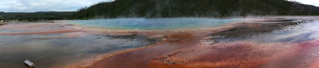 Steaming Pools  along the Firehole River