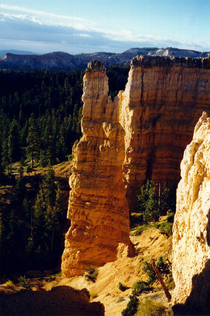 This shot of a isolated hoodoo was taken a short walk up the rim from our camp site. You can see the limestone cap rock which protects the softer (also limestone) rock underneath. The rapid erosion of the softer rock combined with 'tougher' layers produce the hoodoo spires as the canyon walls erode over time.