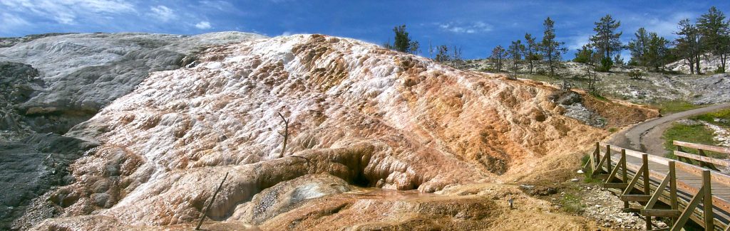 Close Up at the northern extent of the Travertine (Mammoth Hot Springs)