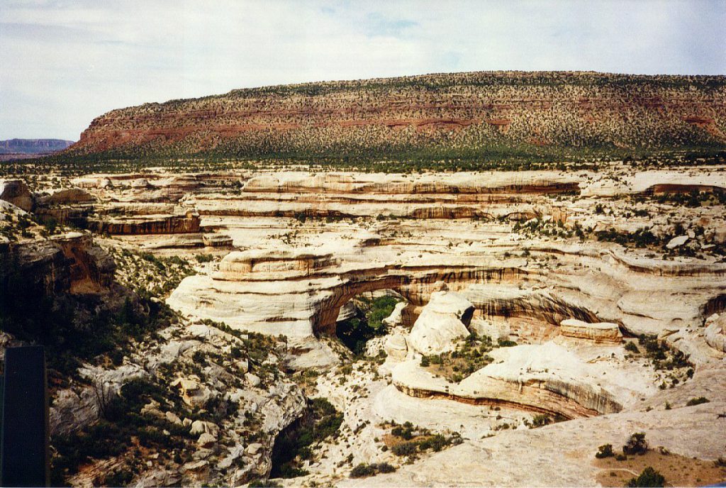 Looking down into the valley of the natural bridges. You can see one of the natural bridges if you look carefully. The bridges are caused when the creek's S curves (over time as they develop) actually intersect and carve out a bridge. The creek then takes a new path under the newly formed bridge.